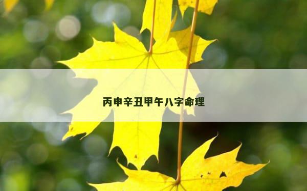 丙申辛丑甲午八字命理