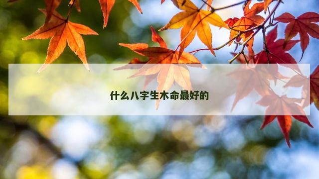 什么八字生木命最好的