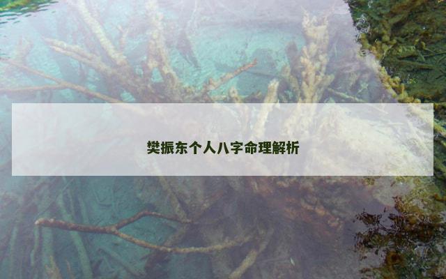 樊振东个人八字命理解析