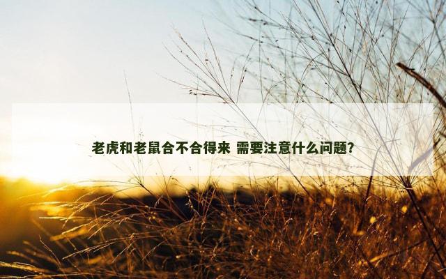 老虎和老鼠合不合得来 需要注意什么问题？