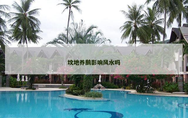 坟地养鹅影响风水吗