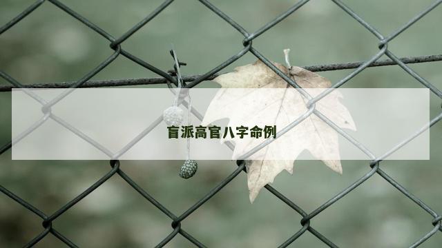 盲派高官八字命例