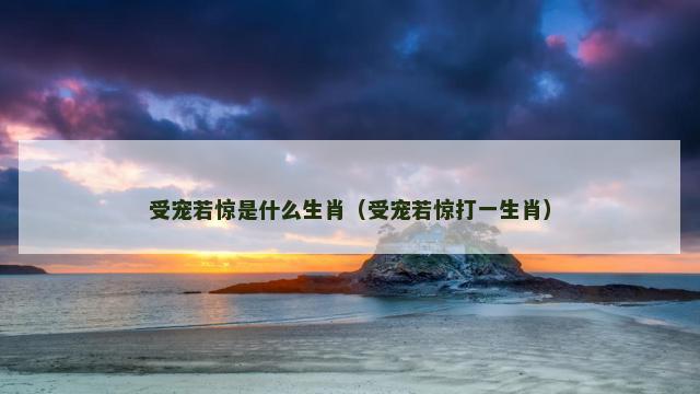 受宠若惊是什么生肖（受宠若惊打一生肖）