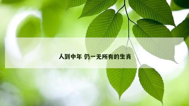 人到中年 仍一无所有的生肖