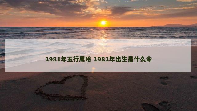 1981年五行属啥 1981年出生是什么命