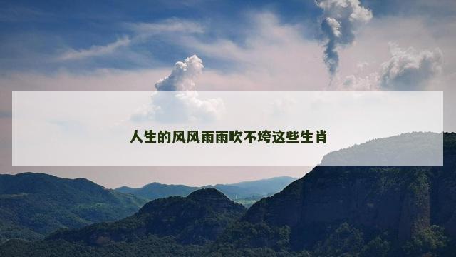 人生的风风雨雨吹不垮这些生肖