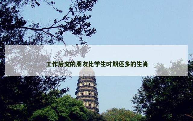工作后交的朋友比学生时期还多的生肖