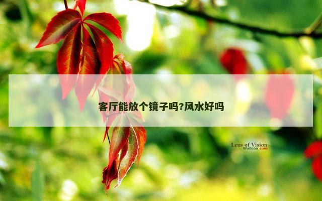 客厅能放个镜子吗?风水好吗