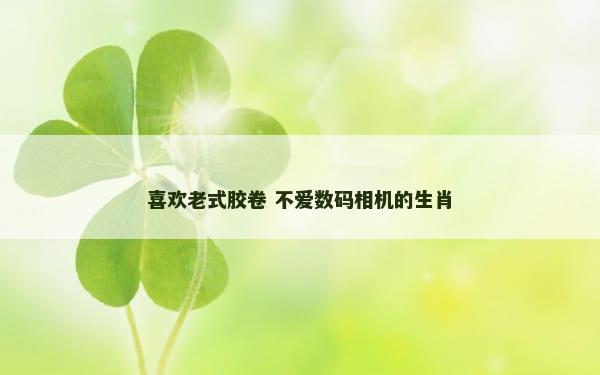 喜欢老式胶卷 不爱数码相机的生肖