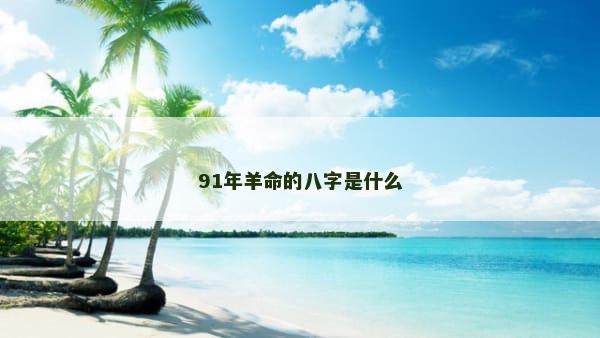 91年羊命的八字是什么