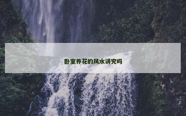 卧室养花的风水讲究吗