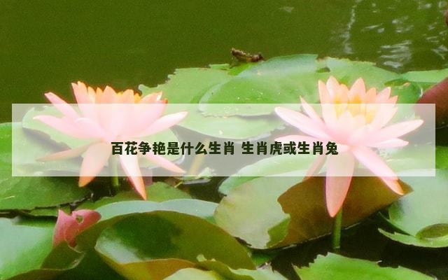 百花争艳是什么生肖 生肖虎或生肖兔