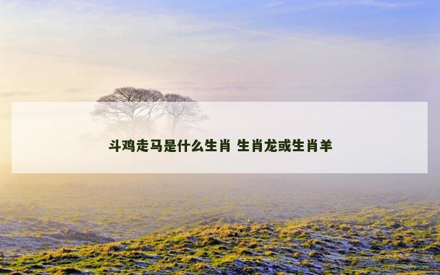 斗鸡走马是什么生肖 生肖龙或生肖羊