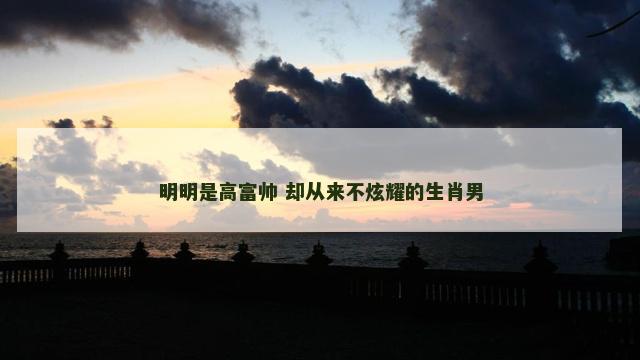 明明是高富帅 却从来不炫耀的生肖男