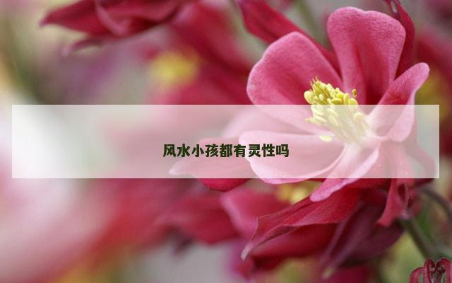 风水小孩都有灵性吗