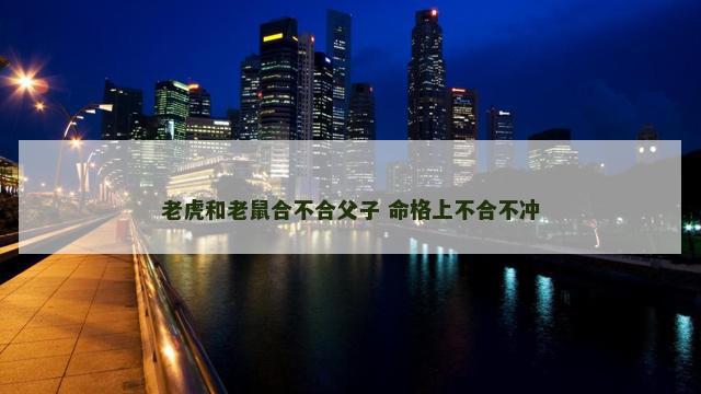 老虎和老鼠合不合父子 命格上不合不冲