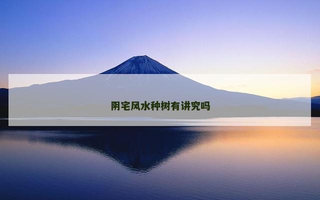 阴宅风水种树有讲究吗