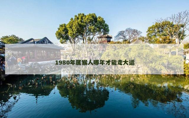 1980年属猴人哪年才能走大运