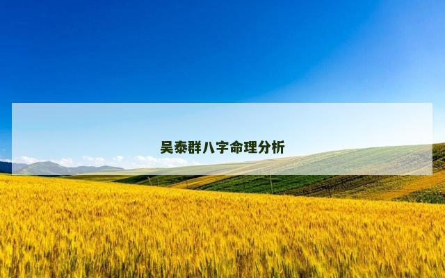 吴泰群八字命理分析