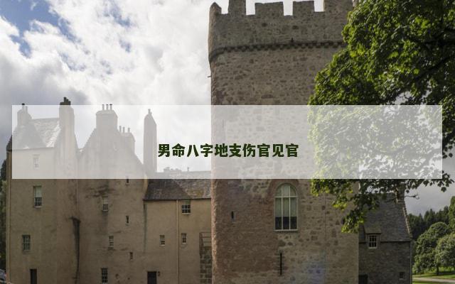 男命八字地支伤官见官