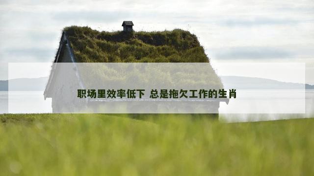 职场里效率低下 总是拖欠工作的生肖