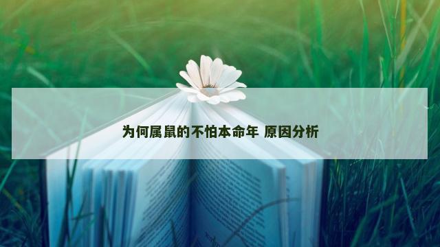 为何属鼠的不怕本命年 原因分析