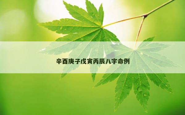 辛酉庚子戊寅丙辰八字命例