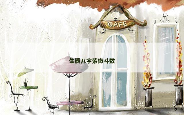 生辰八字紫微斗数