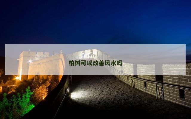 柏树可以改善风水吗