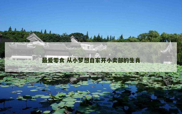 最爱零食 从小梦想自家开小卖部的生肖