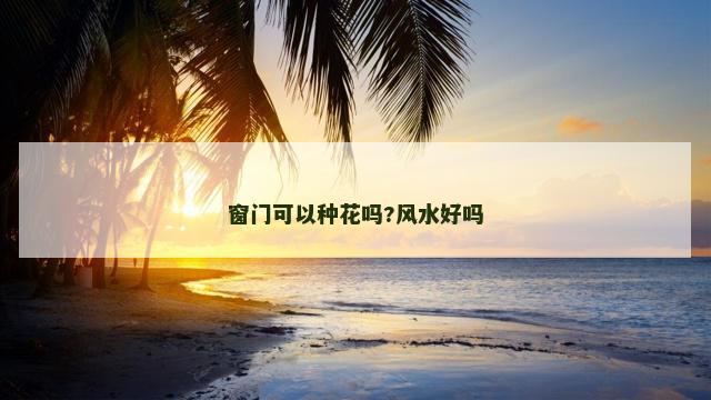 窗门可以种花吗?风水好吗