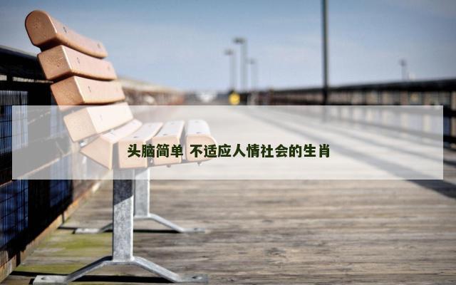 头脑简单 不适应人情社会的生肖