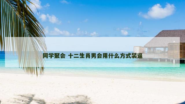 同学聚会 十二生肖男会用什么方式装逼