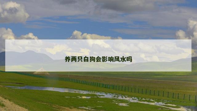 养两只白狗会影响风水吗