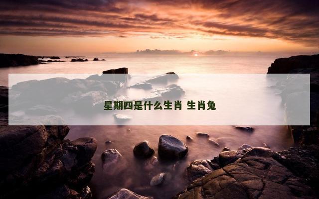星期四是什么生肖 生肖兔