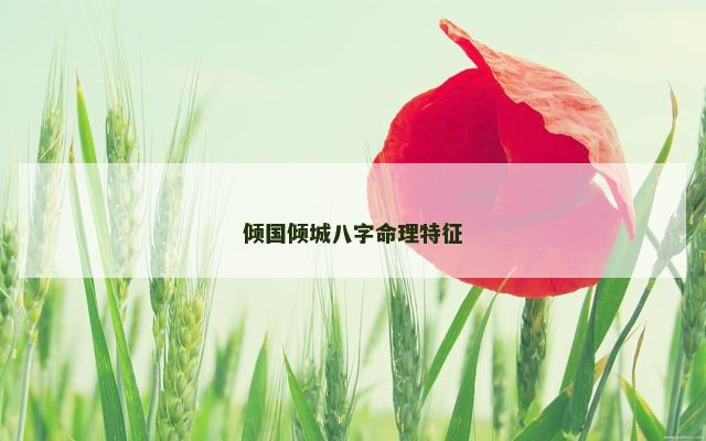 倾国倾城八字命理特征