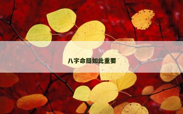 八字命局如此重要