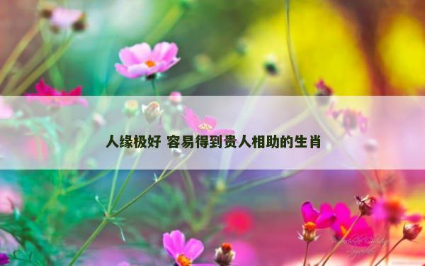 人缘极好 容易得到贵人相助的生肖