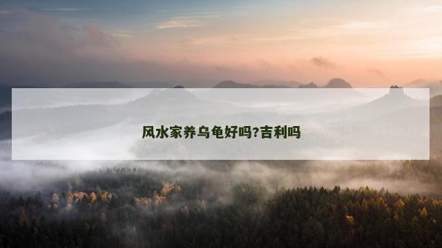 风水家养乌龟好吗?吉利吗