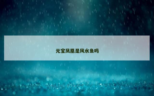 元宝凤凰是风水鱼吗
