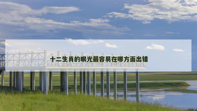 十二生肖的眼光最容易在哪方面出错