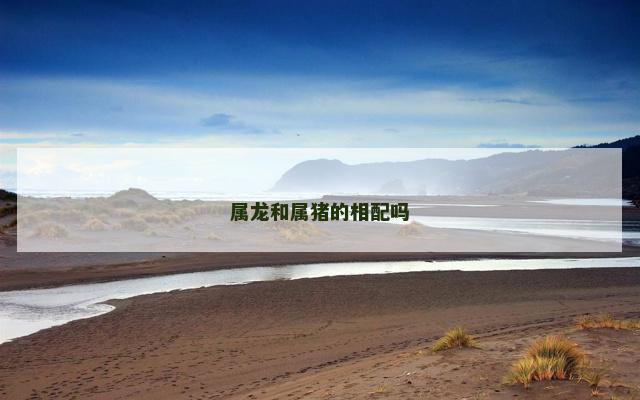 属龙和属猪的相配吗