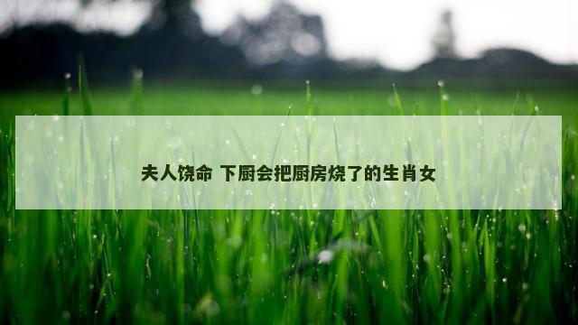 夫人饶命 下厨会把厨房烧了的生肖女