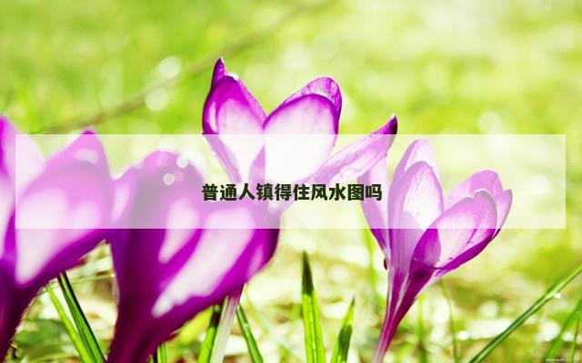 普通人镇得住风水图吗