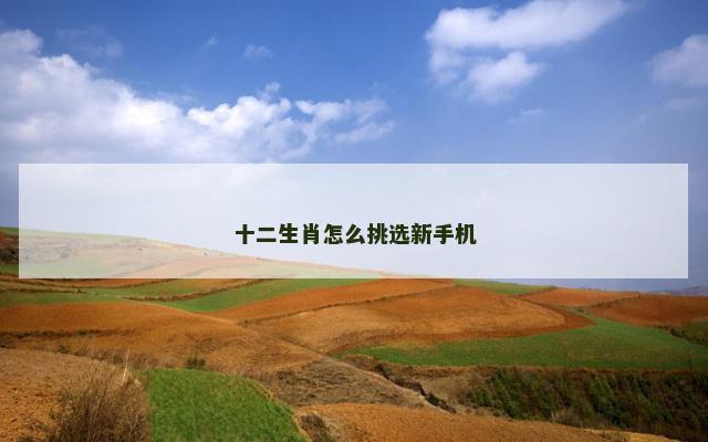 十二生肖怎么挑选新手机