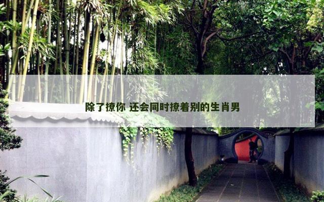 除了撩你 还会同时撩着别的生肖男