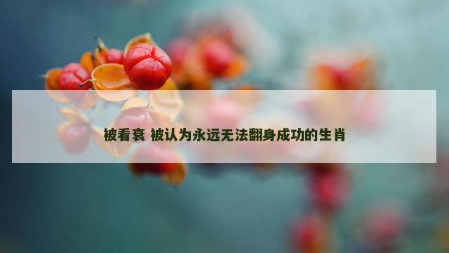被看衰 被认为永远无法翻身成功的生肖