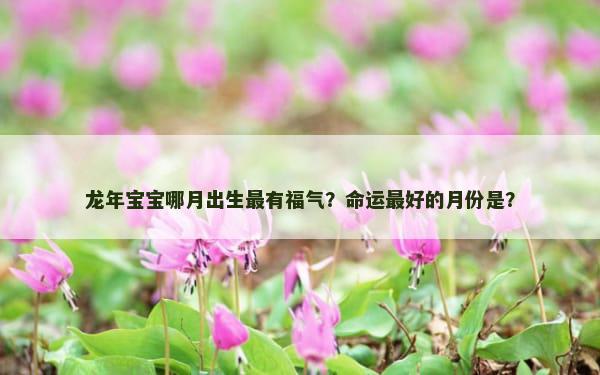 龙年宝宝哪月出生最有福气？命运最好的月份是？