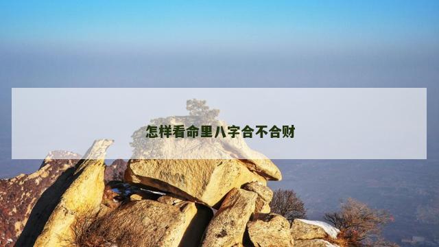 怎样看命里八字合不合财