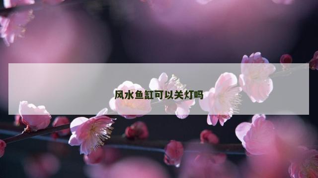 风水鱼缸可以关灯吗